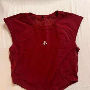 Alphalete Mesh back crop top